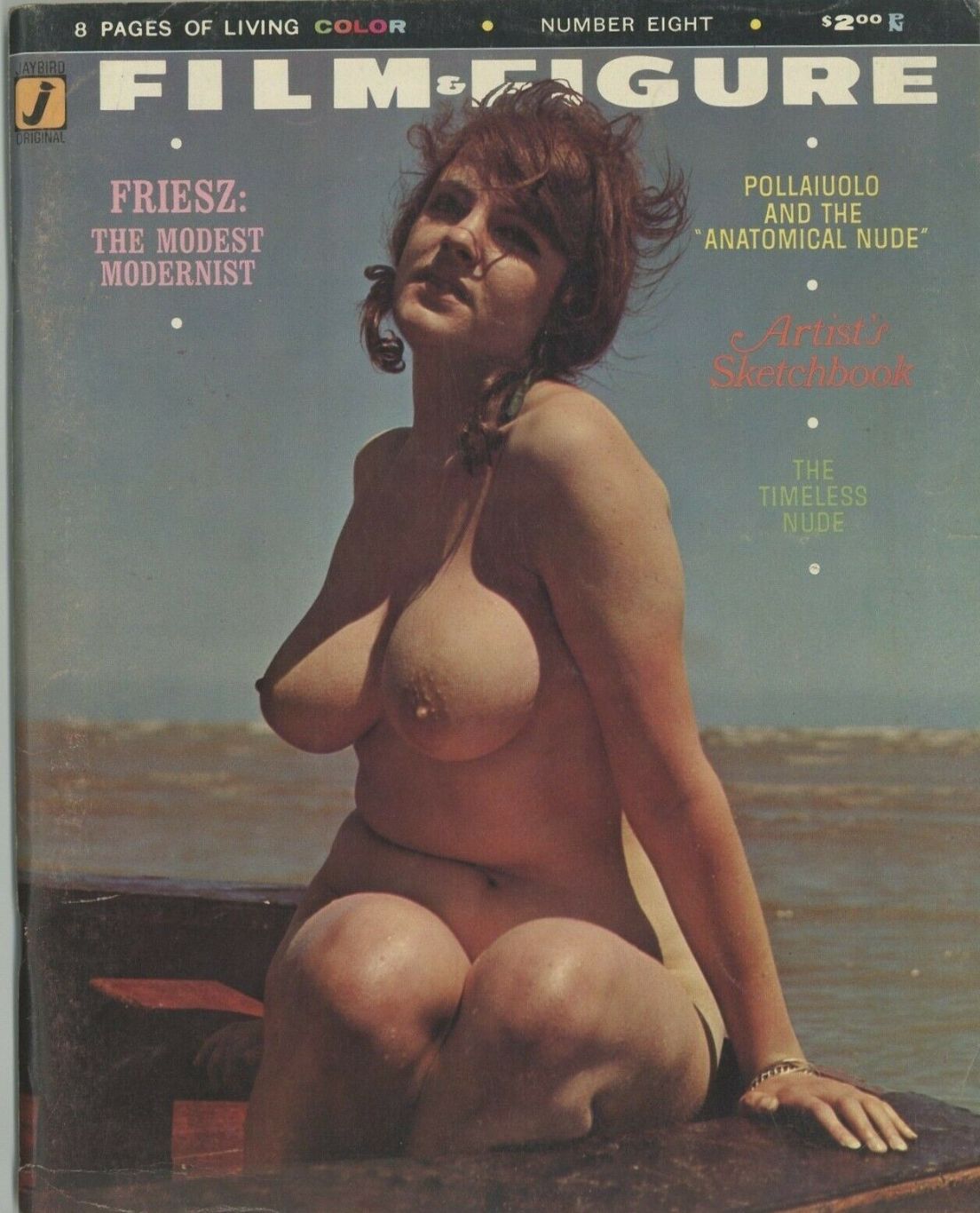 FILM AND FIGURE magazine side cover Issue 8  Vol 2 No  4 Summer 1967