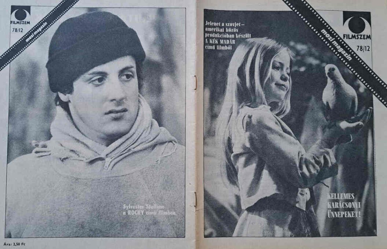 FILMSZEM magazine side cover Issue 12   1978