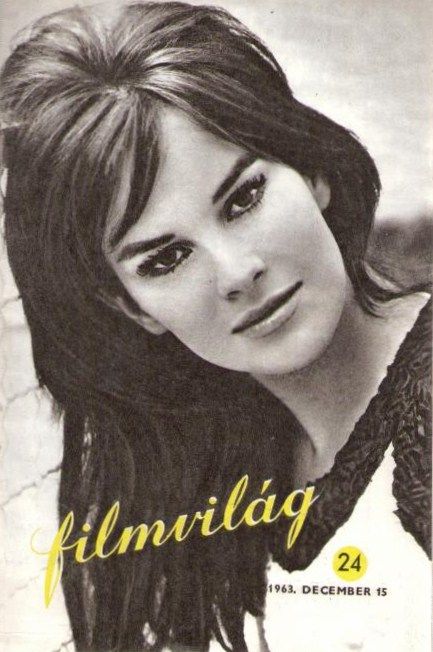 FILMVILAG magazine side cover Issue 24 15 December 1963