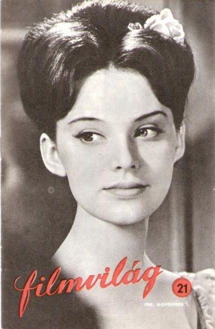 FILMVILAG magazine side cover Issue 21 1 November 1965