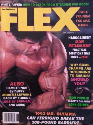FLEX magazine side cover  June 1993