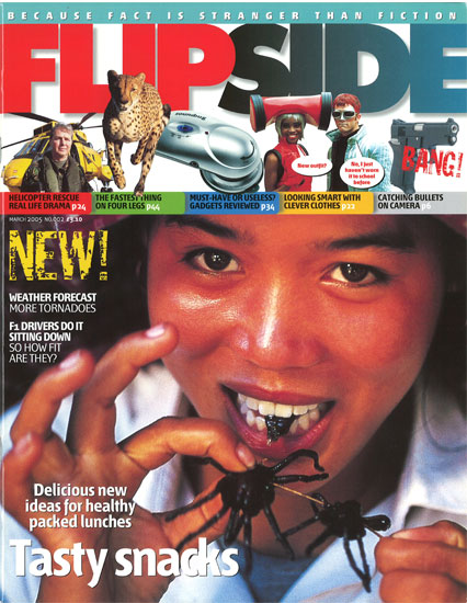 FLIP SIDE magazine side cover Issue 2 March 2005