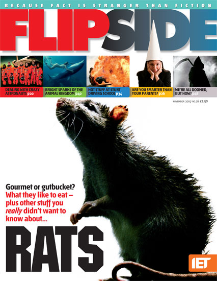 FLIP SIDE magazine side cover Issue 26 November 2007