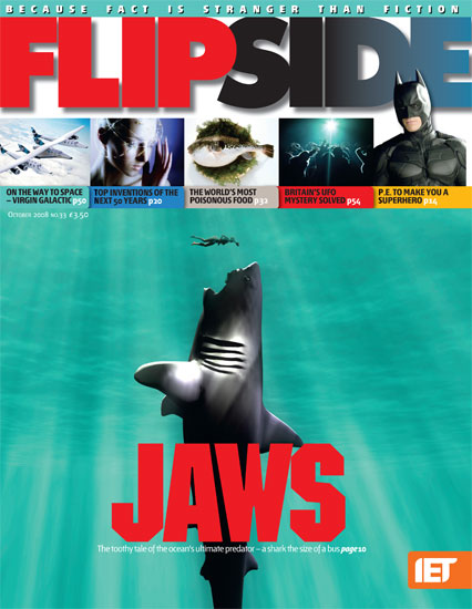 FLIP SIDE magazine side cover Issue 33 October 2008