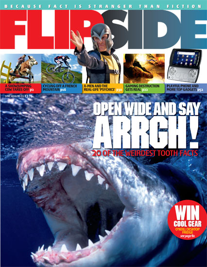 FLIP SIDE magazine side cover Issue 55 June 2011