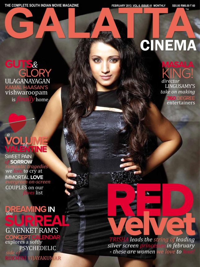 GALATTA CINEMA magazine side cover Issue 71 February 2013
