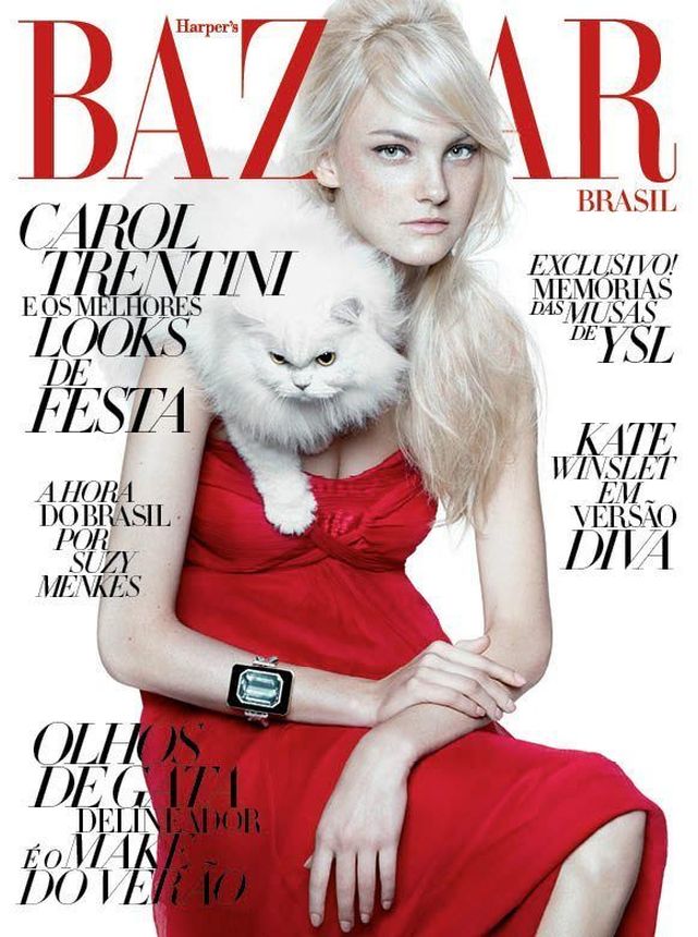 HARPERS BAZAAR BRAZIL magazine side cover  December 2011