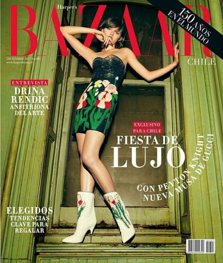 HARPERS BAZAAR CHILE magazine side cover  December 2017