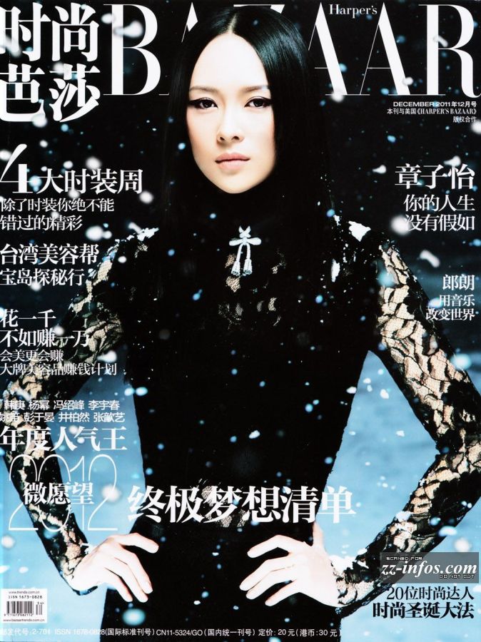 HARPERS BAZAAR CHINA magazine side cover  December 2011