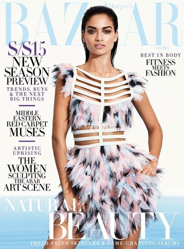 HARPERS BAZAAR UNITED ARAB EMIRATES magazine side cover  January 2015