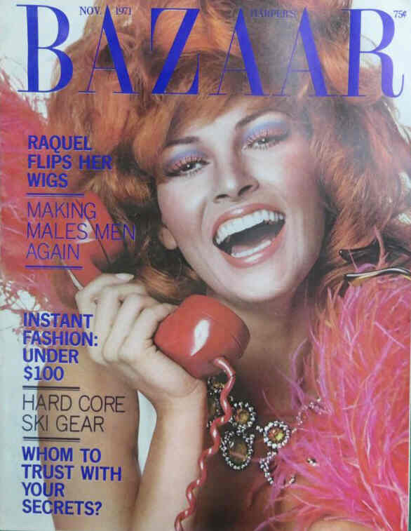 HARPERS BAZAAR USA magazine side cover  November 1971