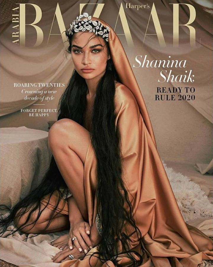 HARPERS BAZAAR UNITED ARAB EMIRATES magazine side cover  January 2020