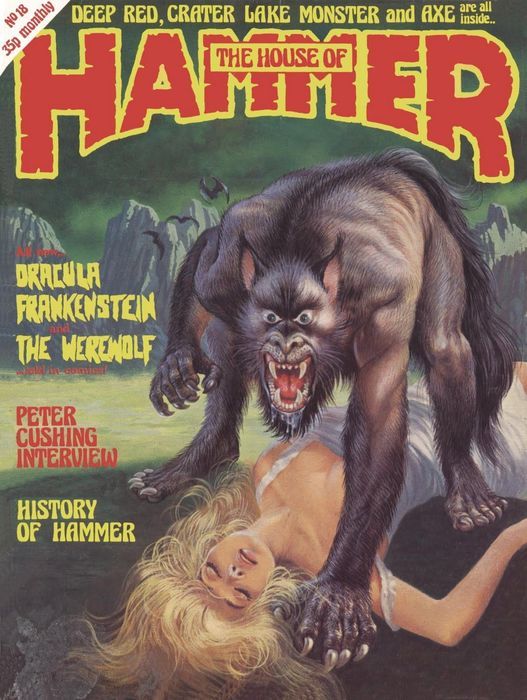 HOUSE OF HAMMER magazine side cover Issue 18  Vol 2 # 6 March 1978