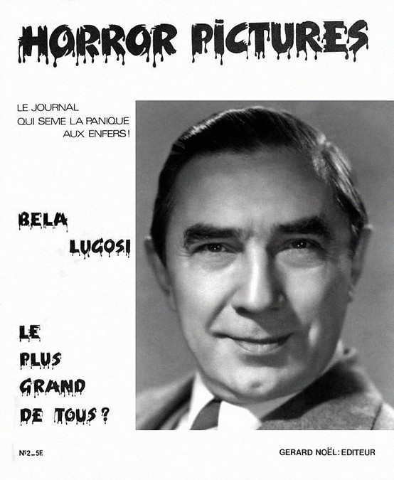 HORROR PICTURES magazine side cover Issue 2  1975