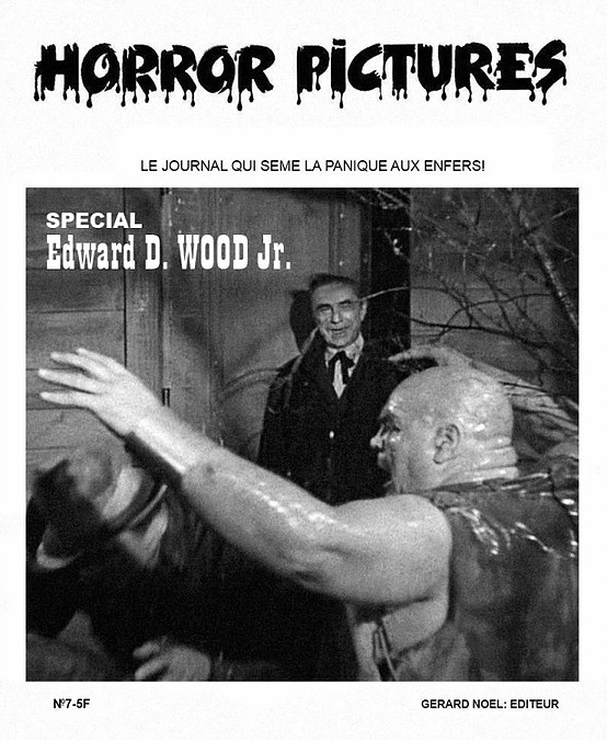 HORROR PICTURES magazine side cover Issue 7 February 1977