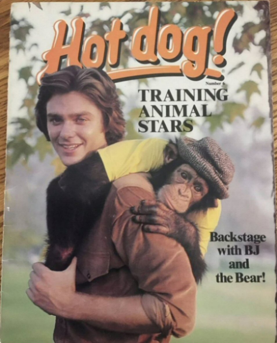 HOT DOG! magazine side cover Issue 6   1981