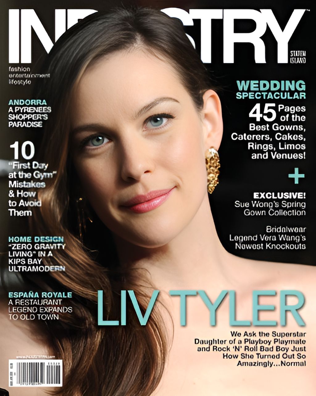 INDUSTRY magazine side cover  March/April 2011