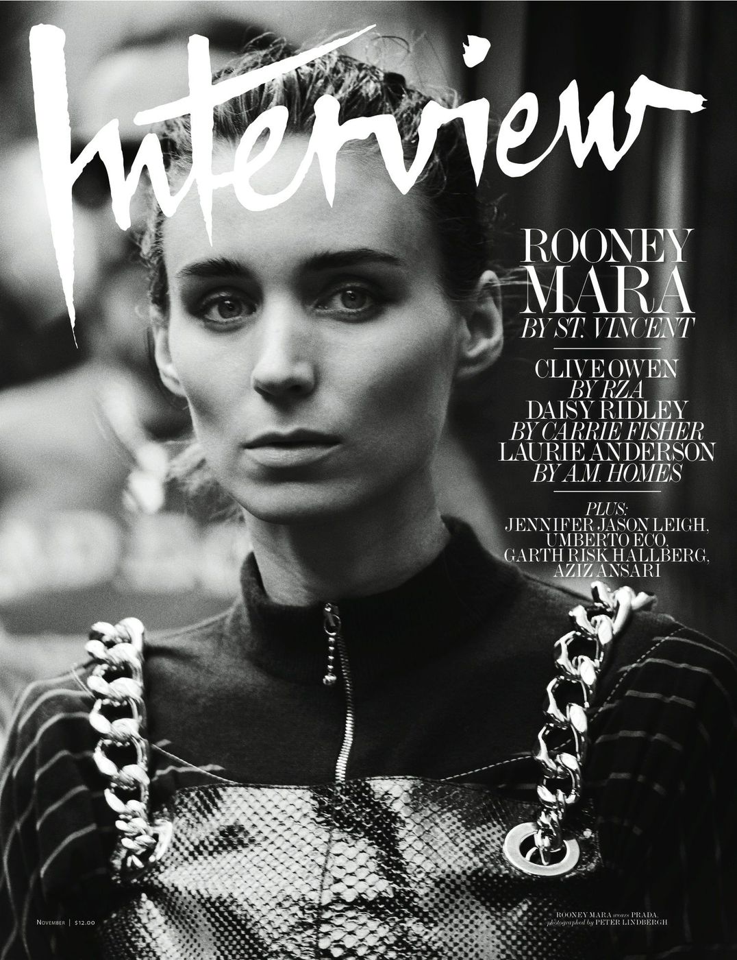 INTERVIEW magazine side cover  November 2015
