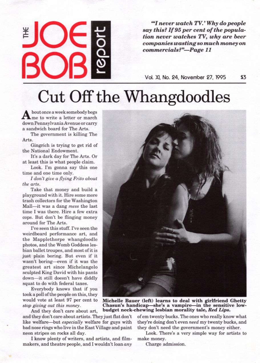 JOE BOB REPORT magazine side cover  Vol 11 No  24 27 November 1995