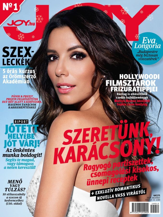 JOY  magazine side cover  December 2014