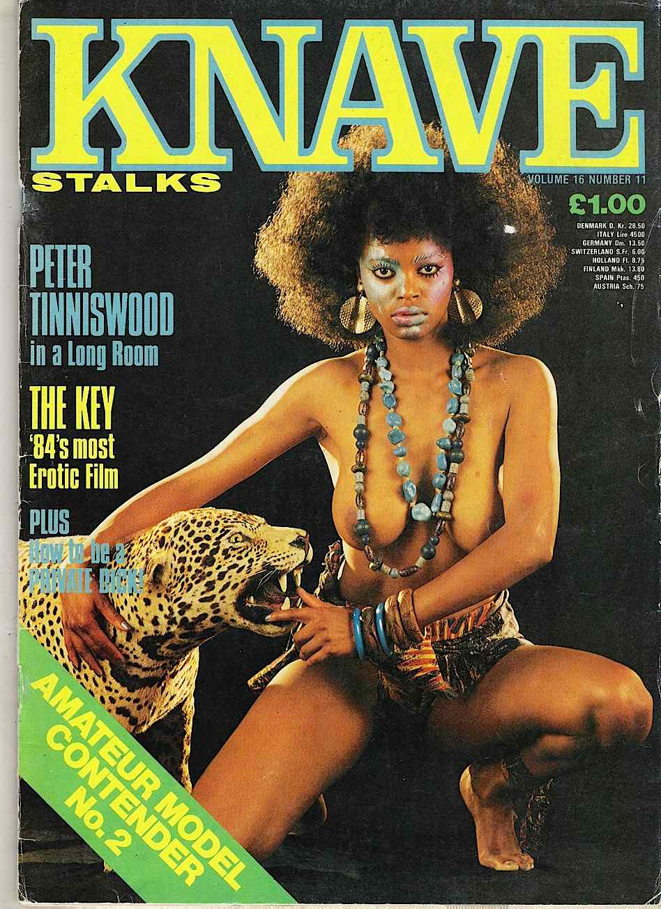 KNAVE magazine side cover  Vol ol16 No  11  November 1984