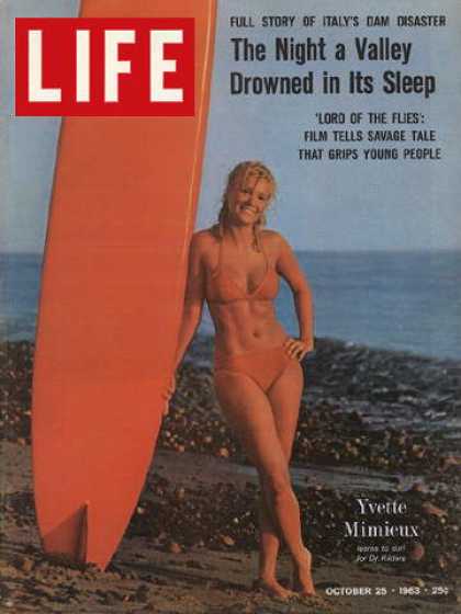 LIFE magazine side cover 25 October 1963