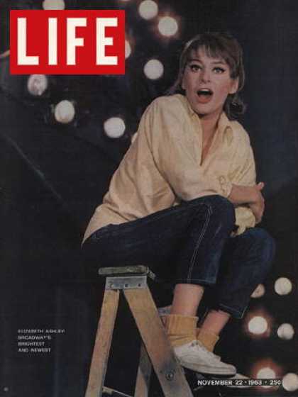 LIFE magazine side cover 22 November 1963