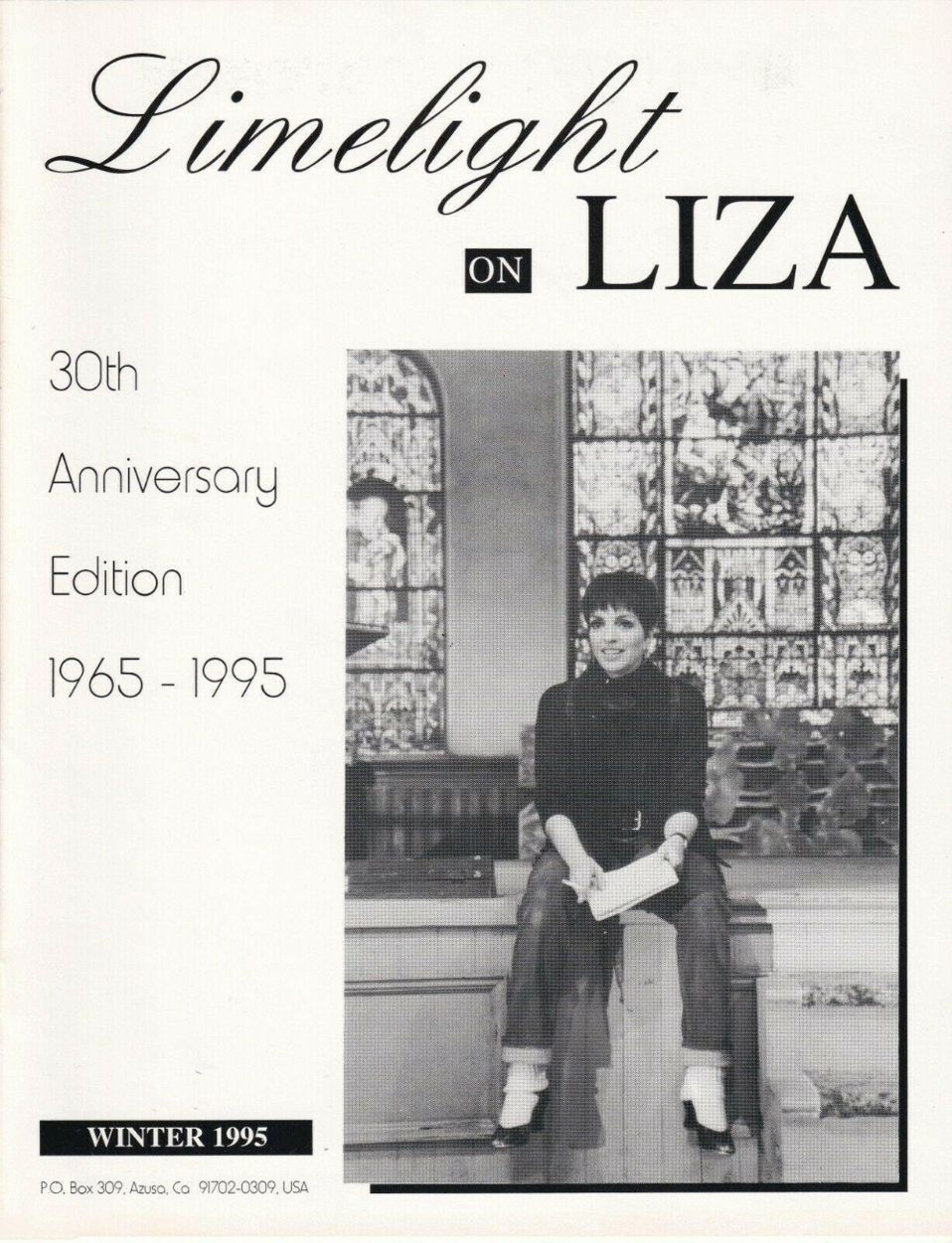 LIMELIGHT ON LIZA magazine side cover Winter 1995
