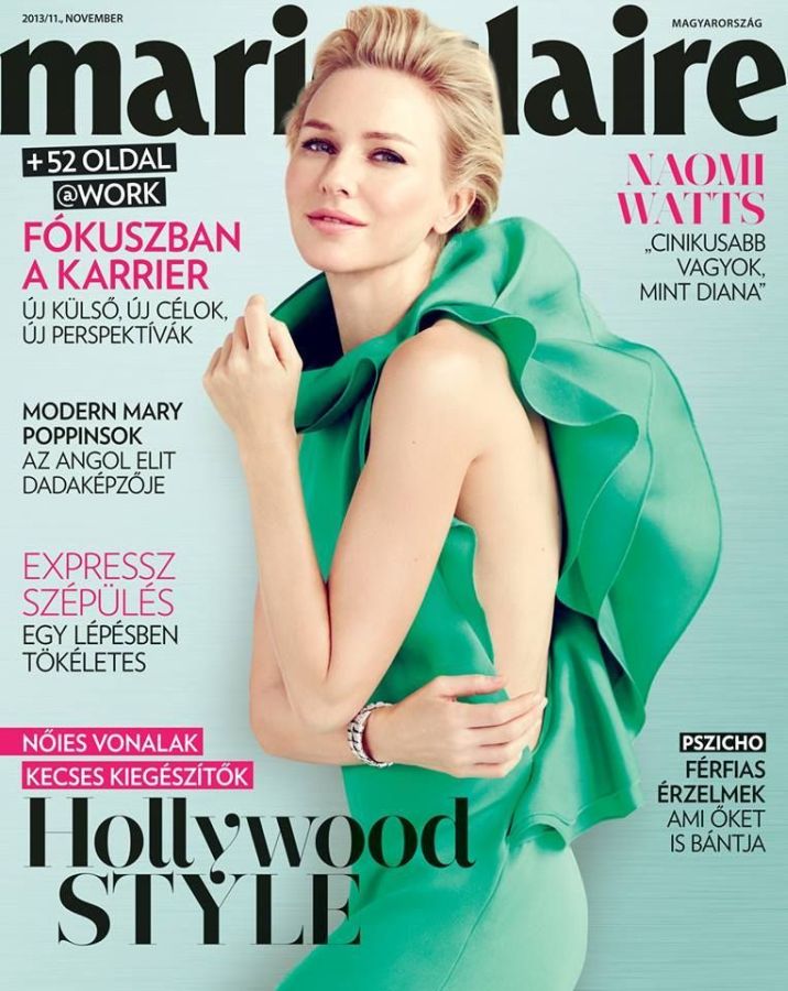 MARIE CLAIRE HUNGARY magazine side cover  November 2013