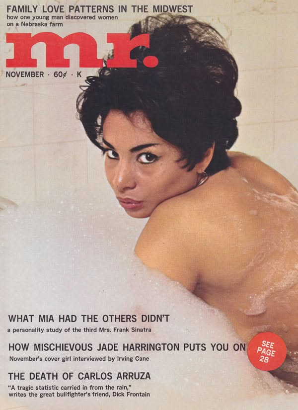 MISTER magazine side cover  November 1966