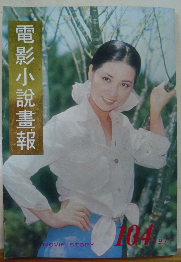 MOVIE STORY (HK) magazine side cover Issue 104  1977