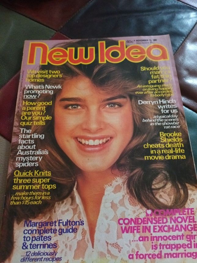 NEW IDEA magazine side cover 13 November 1982