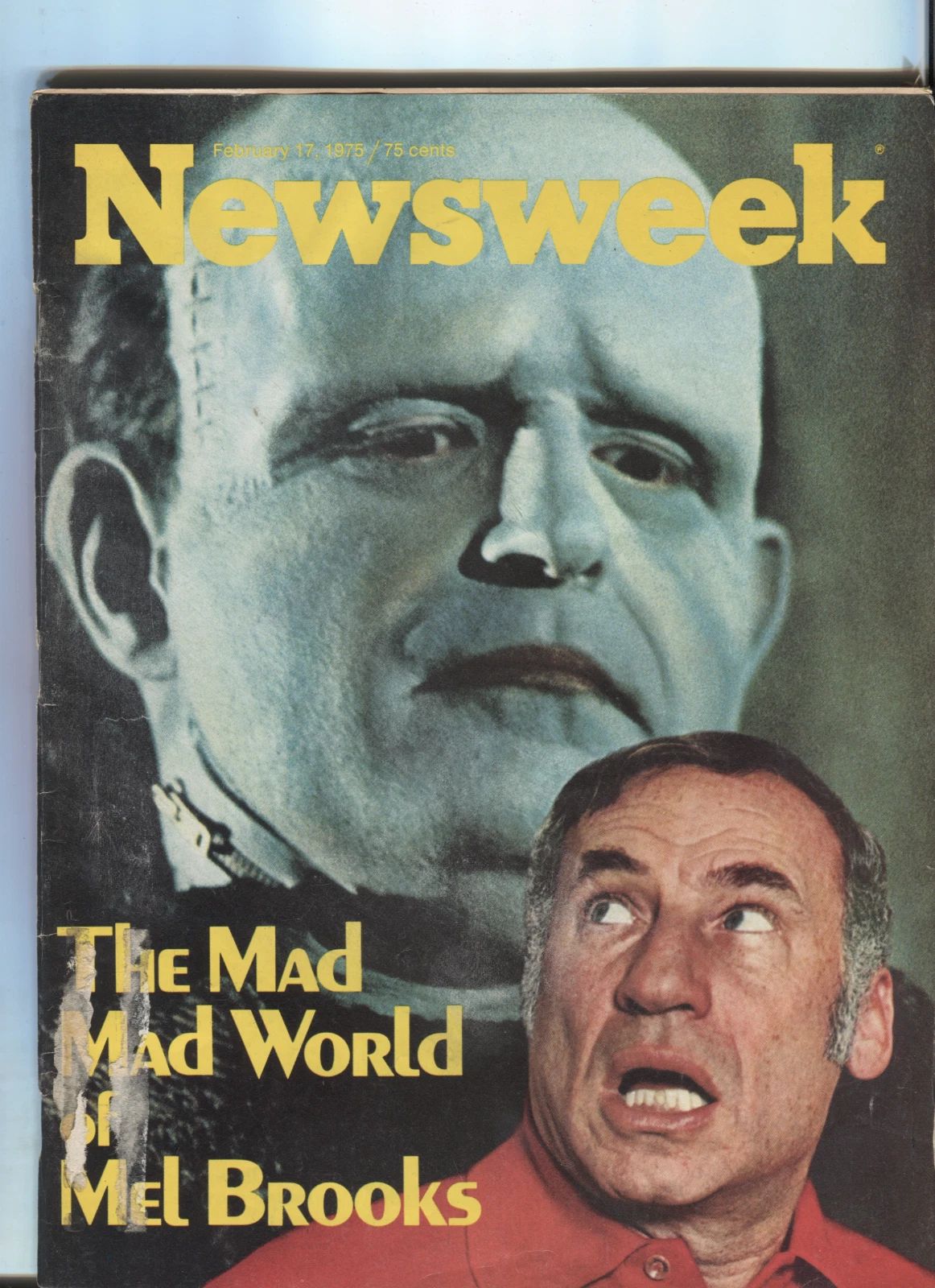 NEWSWEEK magazine side cover 17 February 1975