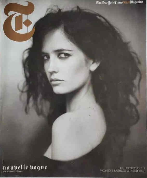 NEW YORK TIMES STYLE magazine side cover Winter 2008