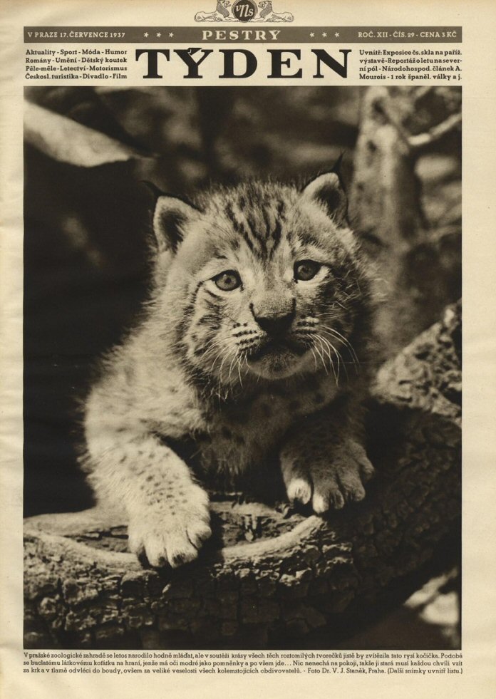 PESTRY TYDEN magazine side cover  12 No  29 17 July 1937