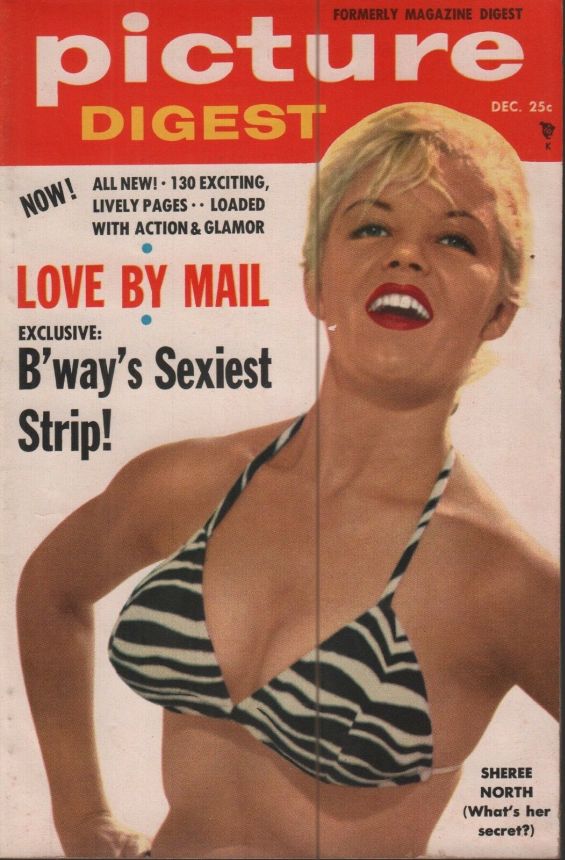 PICTURE DIGEST magazine side cover  December 1955
