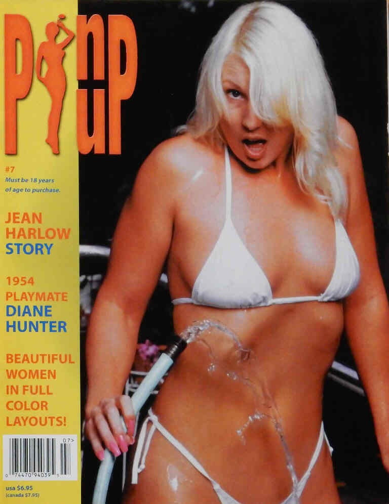 PIN UP (USA) magazine side cover Issue 7 Fall 2000