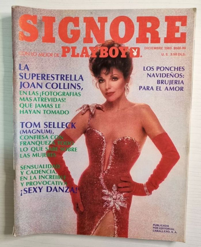 PLAYBOY (MEXICO) magazine side cover  December 1983