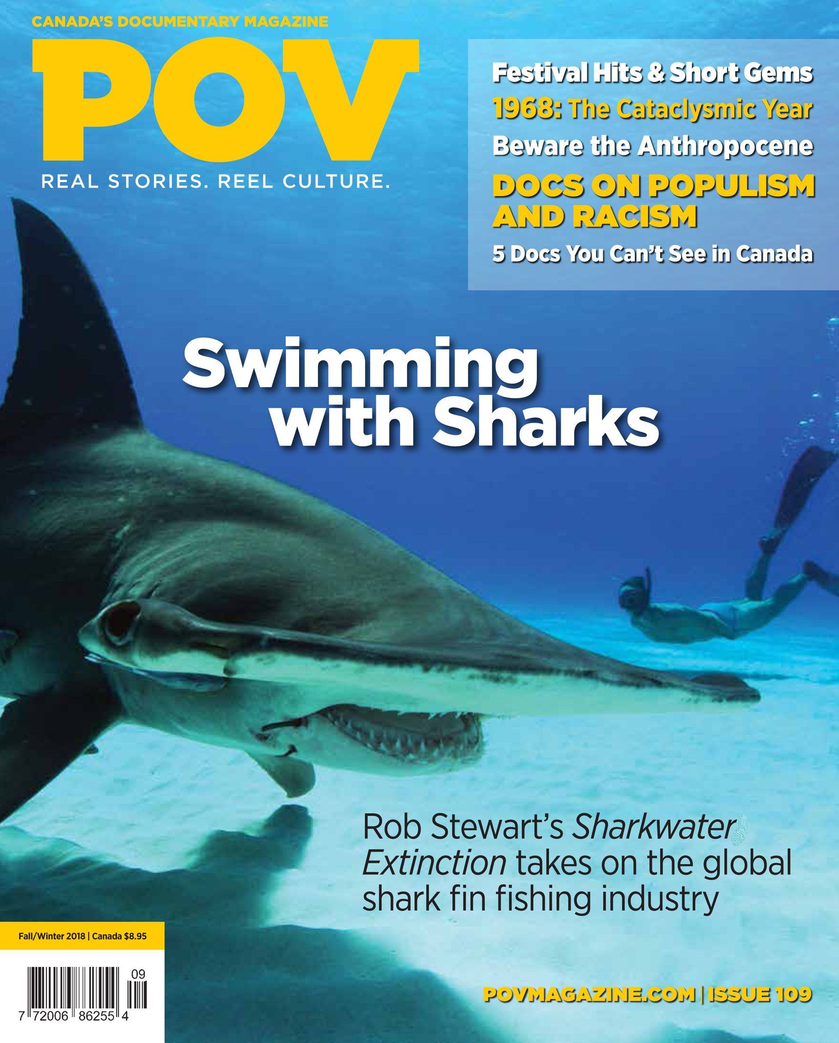 POV (CA) magazine side cover Issue 111 Fall 2018