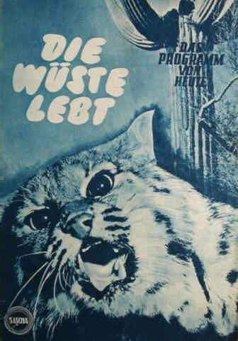 DAS PROGRAMM VON HEUTE (AT) magazine side cover Issue 295   1954