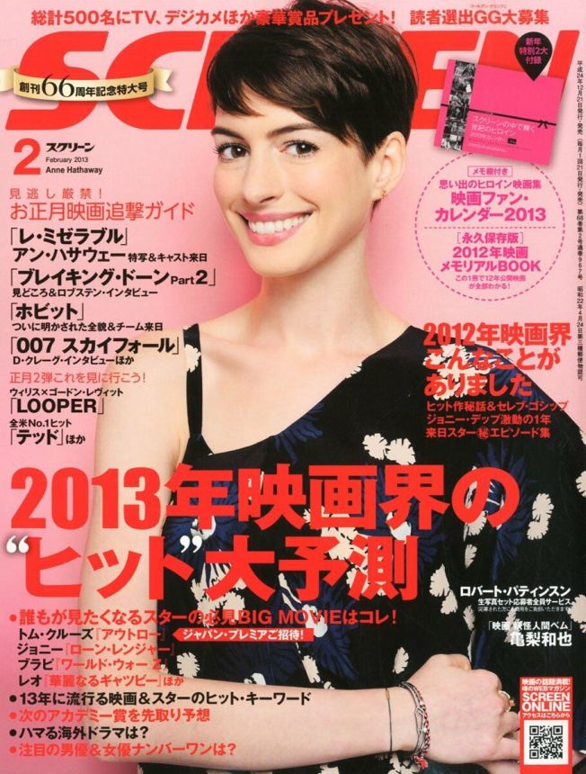 SCREEN (Jp) magazine side cover February 2013