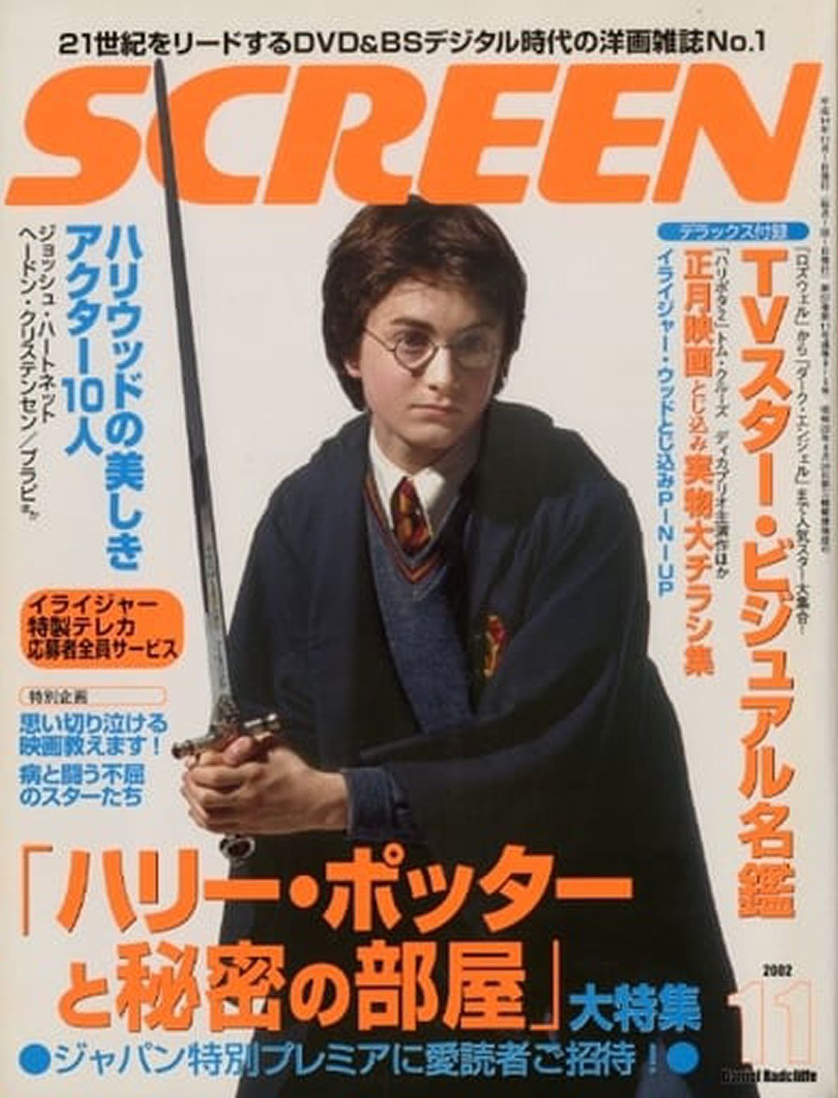 SCREEN (Jp) magazine side cover  November 2002