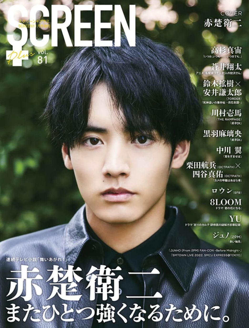 SCREEN (Ko) magazine side cover  November 2022