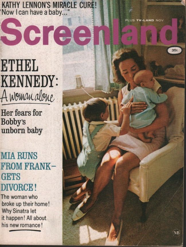 SCREENLAND magazine side cover November 1968