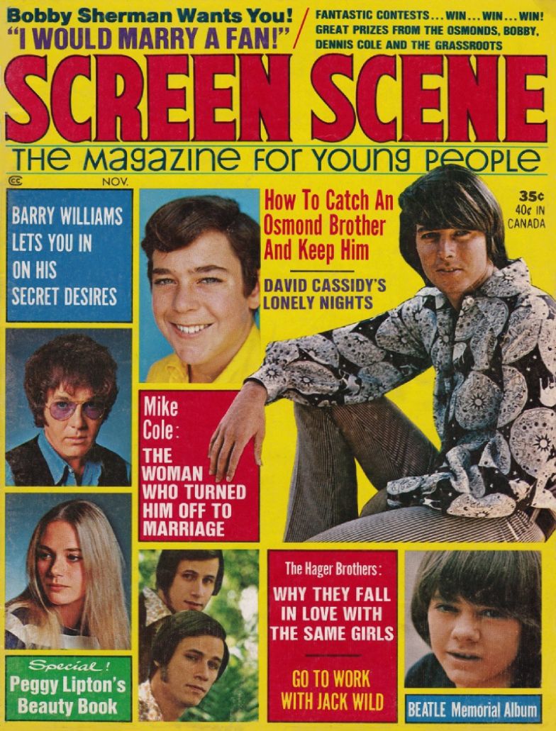 SCREEN SCENE magazine side cover  November 1971