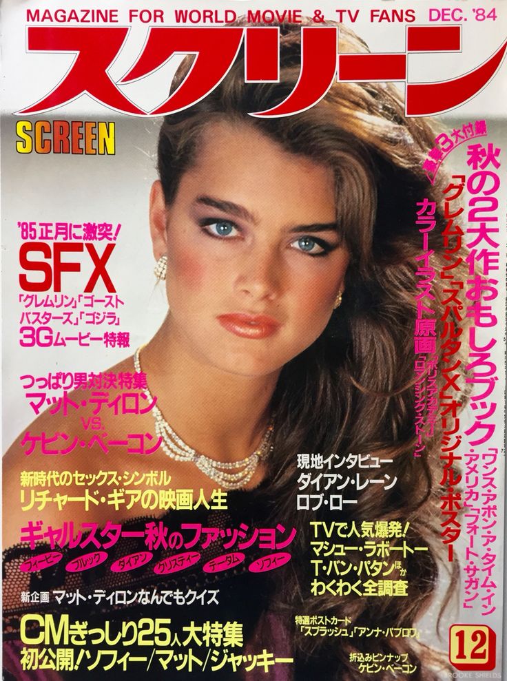 SCREEN (Jp) magazine side cover December 1984