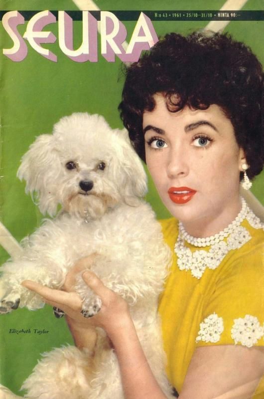 SEURA magazine side cover Issue 43 25 October 1961