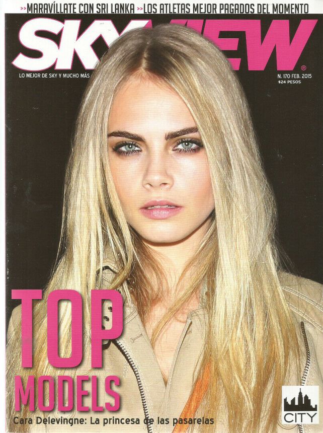 SKY VIEW MEXICO magazine side cover Issue 170  February 2015