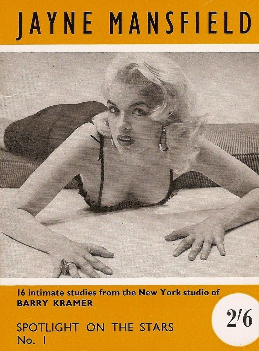 SPOTLIGHT ON THE STARS magazine side cover Issue 1   