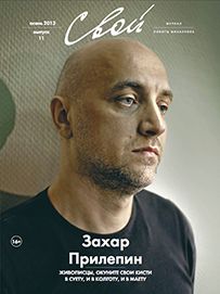 SVOI magazine side cover Issue 65 November 2013
